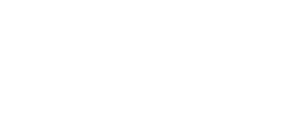 Leapmotor Logo white